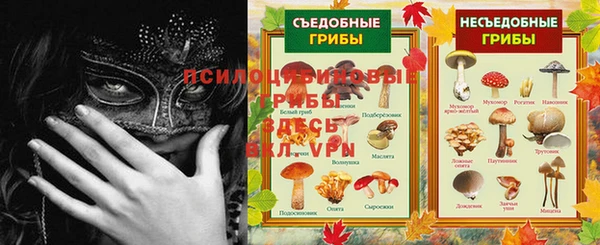 ГАЛЛЮЦИНОГЕННЫЕ ГРИБЫ Иннополис