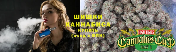 ГАЛЛЮЦИНОГЕННЫЕ ГРИБЫ Иннополис