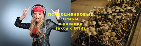 MESCALINE Инта