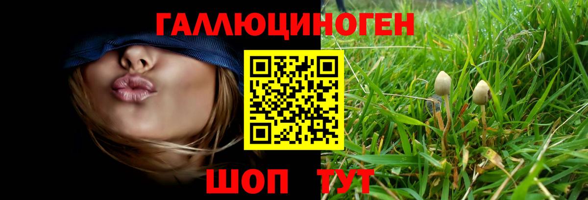 Галлюциногенные грибы мицелий Камень-на-Оби
