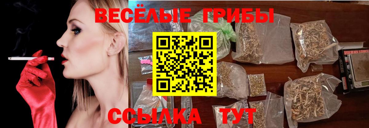Камень-на-Оби  Псилоцибиновые грибы прущие грибы  Вход с VPN 